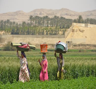 لدعم استثمارات المصريين بالخارج توقيع بروتوكول تعاون بين تنمية الريف المصري وبنك مصر